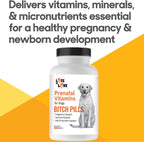 Dog Prenatal Vitamins