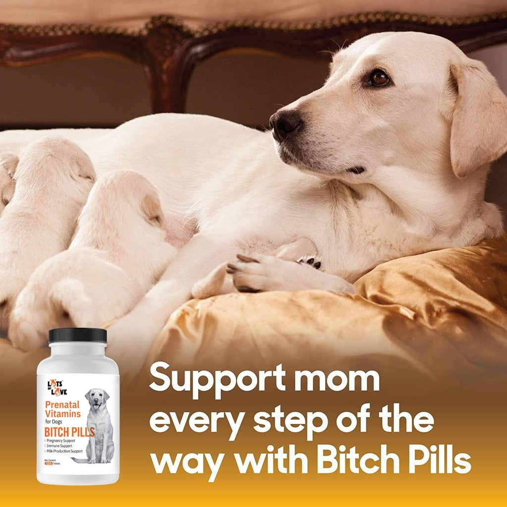 Dog Prenatal Vitamins